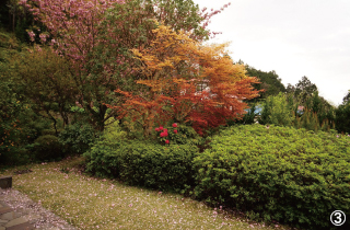 庭には四季折々の草木が植えてあり、しだれ桜、八重桜、ツツジ、紅葉などが家に居ながら楽しめる。